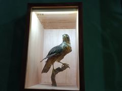 -重庆自然博物馆(新馆)