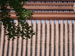 -苏州文庙(姑苏区)