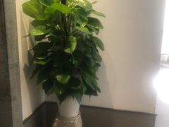 -梅花香里大酒店(郁金香路店)