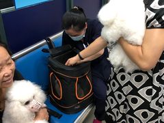 -申普宠物医院·眼科·心内科·影像科(普陀分院)