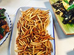 -东巴谷野生菌火锅餐厅