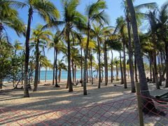 -半山半岛洲际度假酒店·观海廊