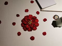 -梧桐
