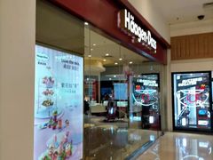-哈根达斯(石家庄北国店)
