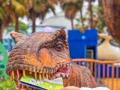 -海合安武汉极地海洋公园