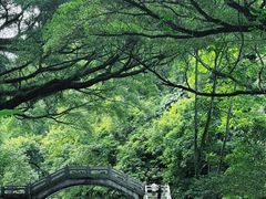 -广州市石门国家森林公园