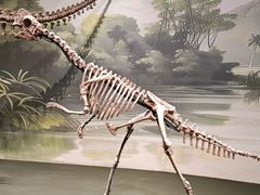 -遇见博物馆(遇见海洋沉浸式奇幻光影展)