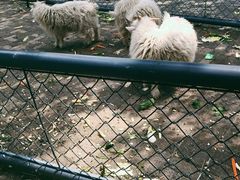 -长白岛森林公园