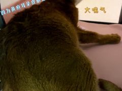 -北京佳信宠物医院