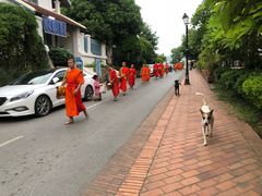-乌托邦酒吧和餐厅