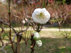 -桃花涧