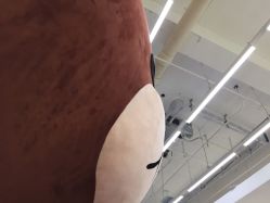 -JM STYLE造型明星.网红