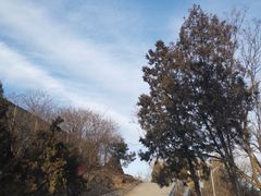 -红光山