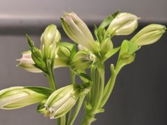-钱塘花园·宁波菜