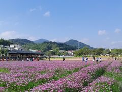 -红山村