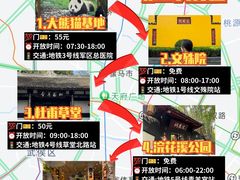 -成都大熊猫繁育研究基地