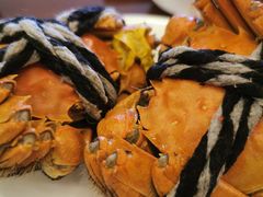 -济南绿发贵和洲际酒店-第六层自助餐厅