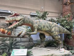 -国家自然博物馆