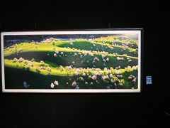 -罗红摄影艺术馆