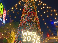 -东莞松山湖万象汇