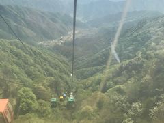 -王顺山国家森林公园