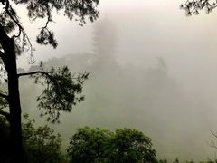 -缙云山景区