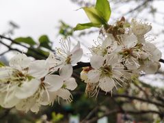 -广州市流溪河国家森林公园