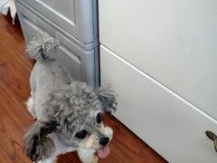 -酷宠动物医院(天通西苑店)