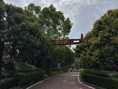 -大屏嶂森林公园