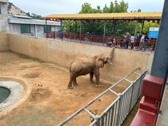 -西霞口神雕山野生动物世界