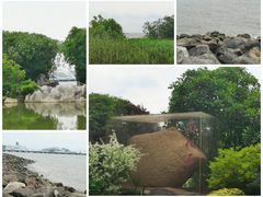 -上海吴淞炮台湾国家湿地公园