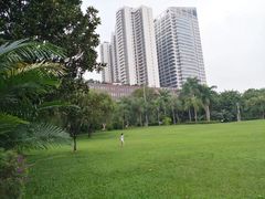 -东风公园