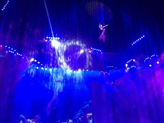 -芜湖新华联大白鲸海洋公园