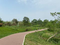 -桤木河湿地公园