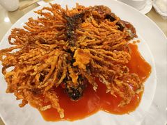 金毛狮子鱼-燕风楼烤鸭店(建设总店)