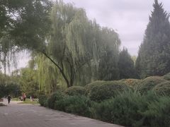 -北坞公园