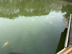 -白马涧龙池景区