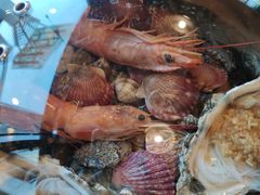 -鲜小岛·铜锅涮肉