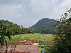 -广州市石门国家森林公园