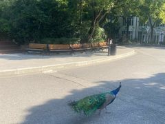 -J Create城市露营咖啡·简餐·宠物(上海动物园店)