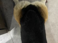 -阿尔法海鲜排档(爱琴海店)