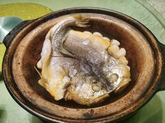 -四季暖堂·融合江浙菜(N1955创业园店)