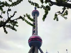 -东方明珠广播电视塔