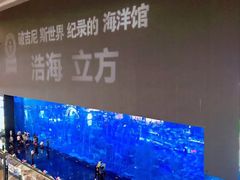 -成都浩海立方海洋公园