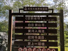 -南宁花花大世界景区