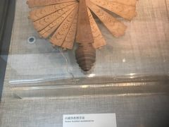 -中国扇博物馆