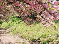 -南京奥林匹克体育中心