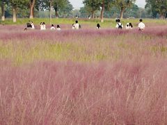 -汉长安城未央宫国家考古遗址公园