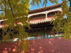 -宝瑞门钉肉饼店