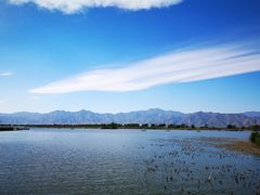 -野鸭湖国家湿地公园